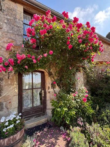 Doue-en-Anjou House | Domaine les roses du vieux chai