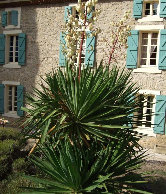 Ladern-sur-Lauquet House | Domaine Saint Andrieu