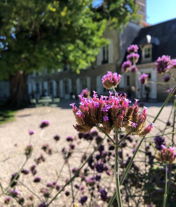 Meung-sur-Loire House | Domaine Saint-Hilaire