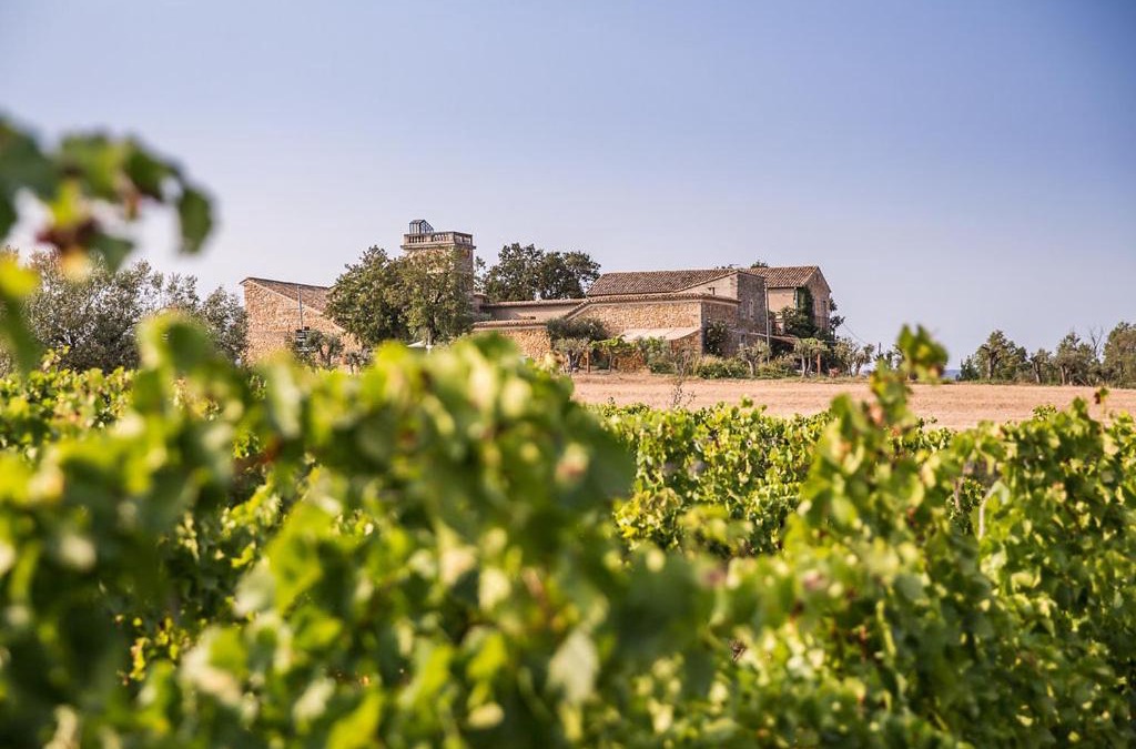 Puimisson Bed & Breakfast | Domaine Sainte Suzanne