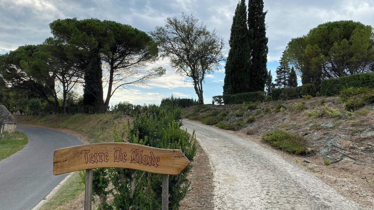 Veyrines-de-Domme House | Domaine Terre de Blade, view of Josephine Baker's legacy