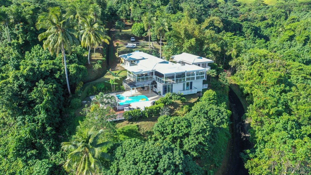 To'ahotu Villa | Domaine To'a Hotu by Tahiti Homes, Villa with pool near the beach
