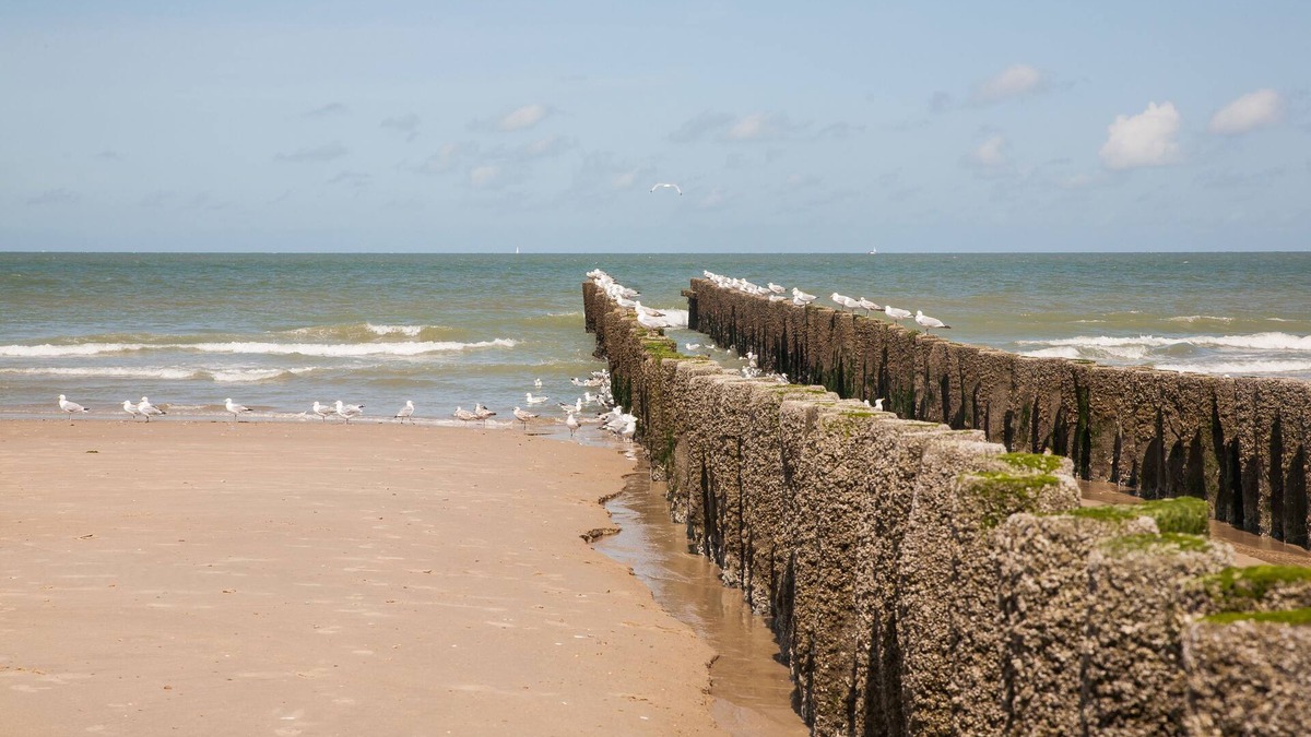 Domburg Hotel | Domburg4you