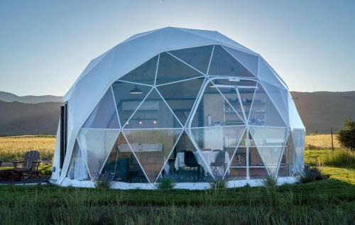 Livingston Apartment | Dome #1