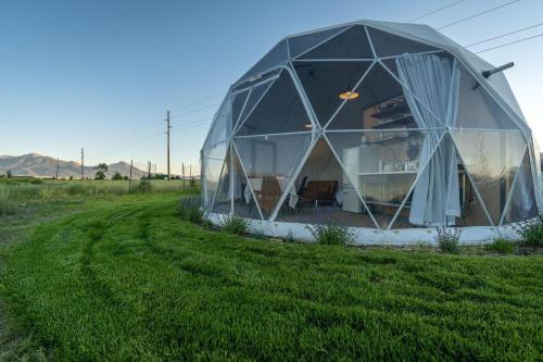 Livingston Apartment | Dome #3