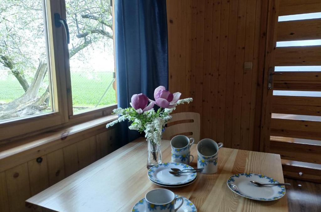 Znin Cabin | Domek 2 w Rancho Żnin