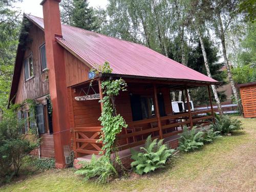 Okuninka House | Domek Letniskowy Pod Brzozami