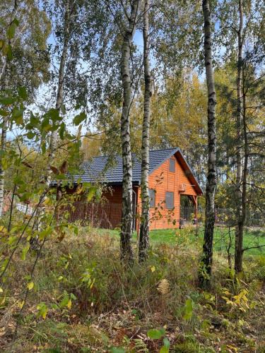 Adamow Ski Chalet | DOMEK LETNISKOWY POD BRZOZAMI na Roztoczu wśród lasów, Zamość, Krasnobród, Zwierzyniec
