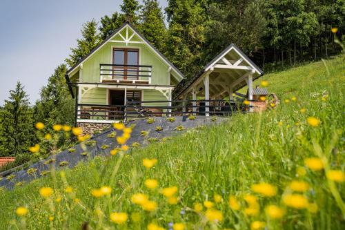 Czorsztyn House | Domek na Fierkowskiej Dolinie