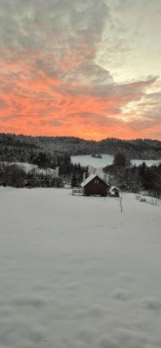 Rabe House | Domek na Górce