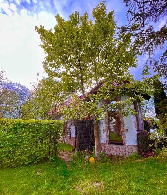 Szymbark House | Domek na końcu świata