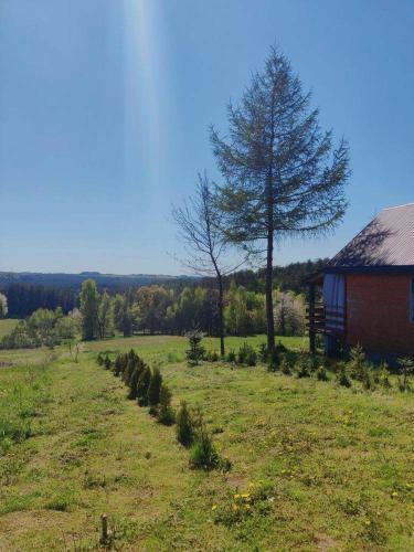 Krasnobrod House | Domek na Wzgórzu