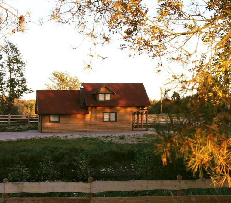 Linia House | Domek Nad Stawem