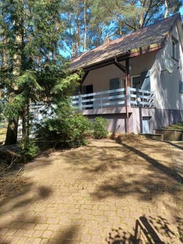 gmina Piotrkow Kujawski House | Domek pod Sosnami nad jeziorem Głuszyńskim