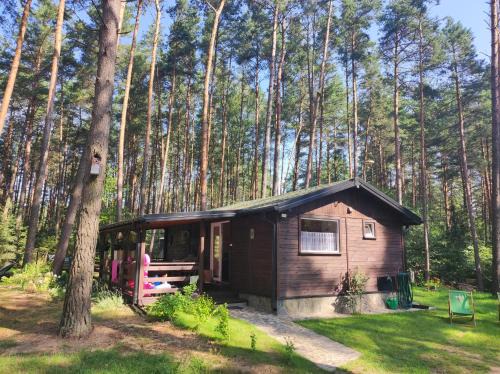 gmina Grodziczno House | Domek pod sosnami