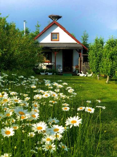 Dobrcz House | Domek przy Azylu Bocianim