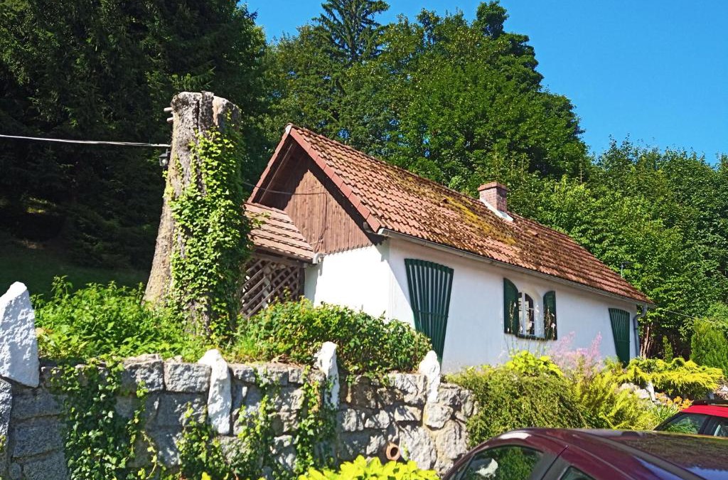 Sosnowka Ski Chalet | Domek Sosnówka