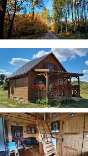Chojna Ski Chalet | Domek Triftberg