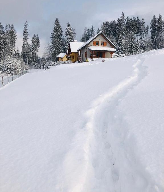 Jaworzynka Ski Chalet | Domek W Górach Jaworzynka
