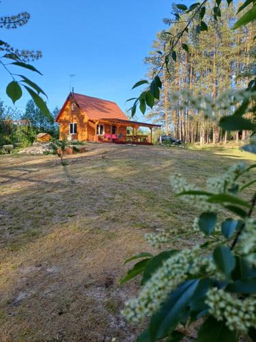 Bilgoraj House | Domek w lesie