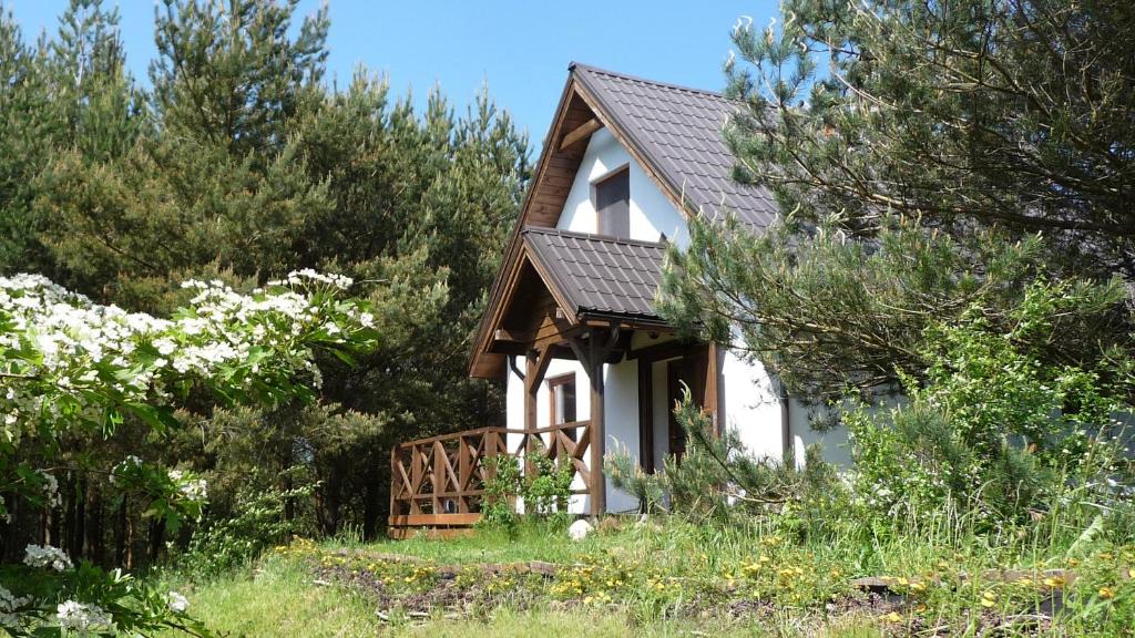 Krokowa House | Domek w Sosnowym Lesie