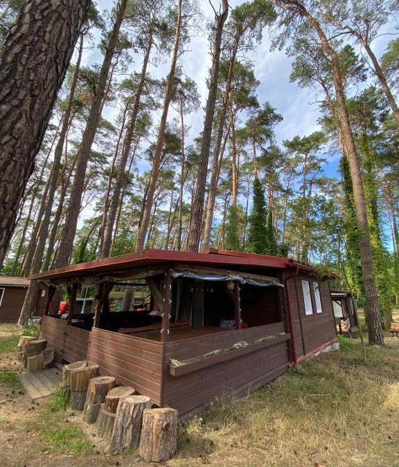 Miedzyrzecz House | Domek Wakacyjny Maciuś 48