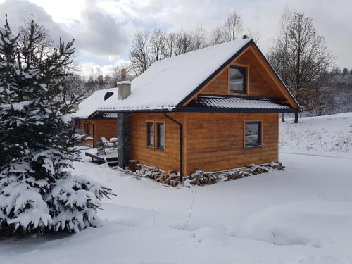 Olszanica Cabin | Domki na Łazach