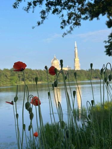 Slesin Villa | DOMKI Nad Jeziorami Niedźwiady