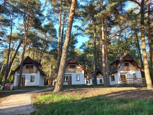 Małogoszcz Resort | Domki nad Wierną Rzeką