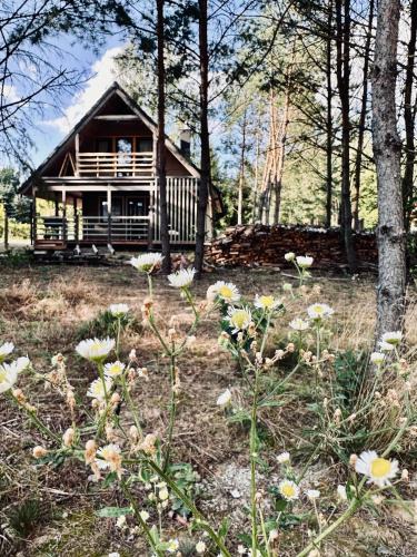 Cekcyn House | Domki pod Aniołem