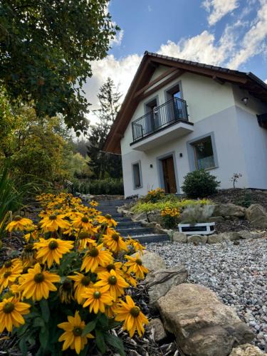 Pieszyce House | Domki PrzySowie - Góry Sowie