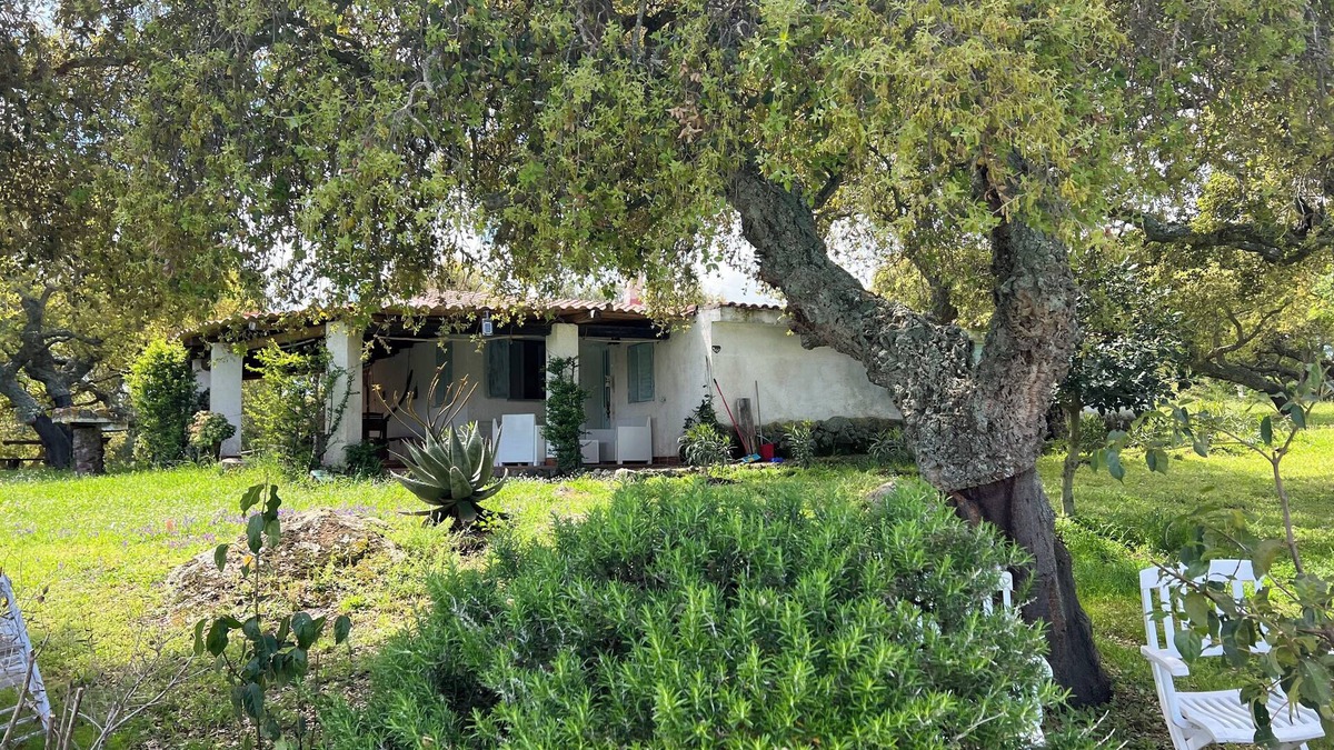 Nulvi Other | DOMO MEA beautiful farmhouse immersed in theSardinian countryside an its animals