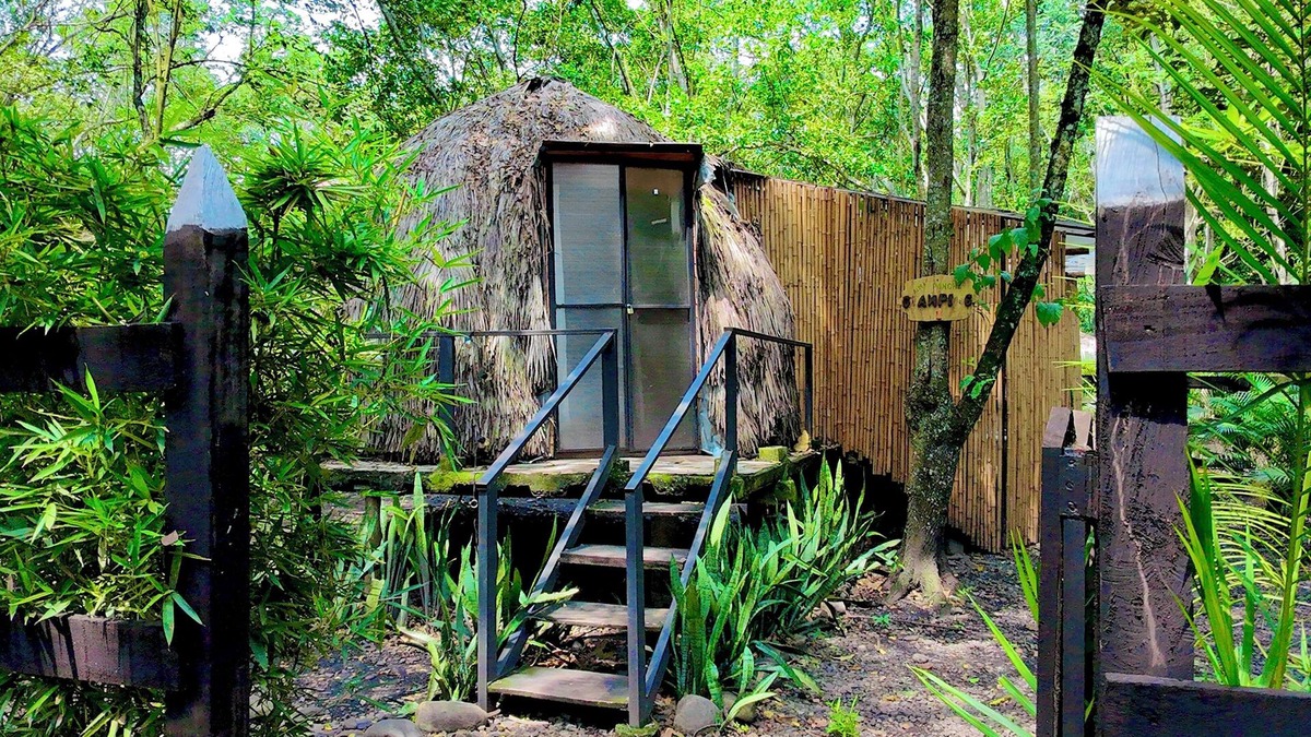 Utica House | "Domo Nativo: Adventure and Relaxation in the Heart of the Forest".