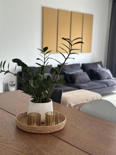 Elen House | Domum