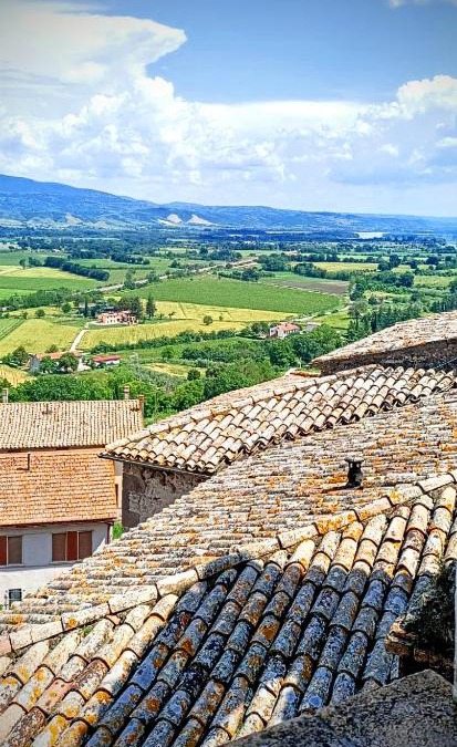 Castiglione in Teverina House | Domus Claudia