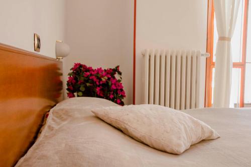 Alessandria Hotel | Domus Hotel