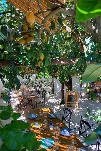 Monte di Procida Hotel | Don Salvatore Resort