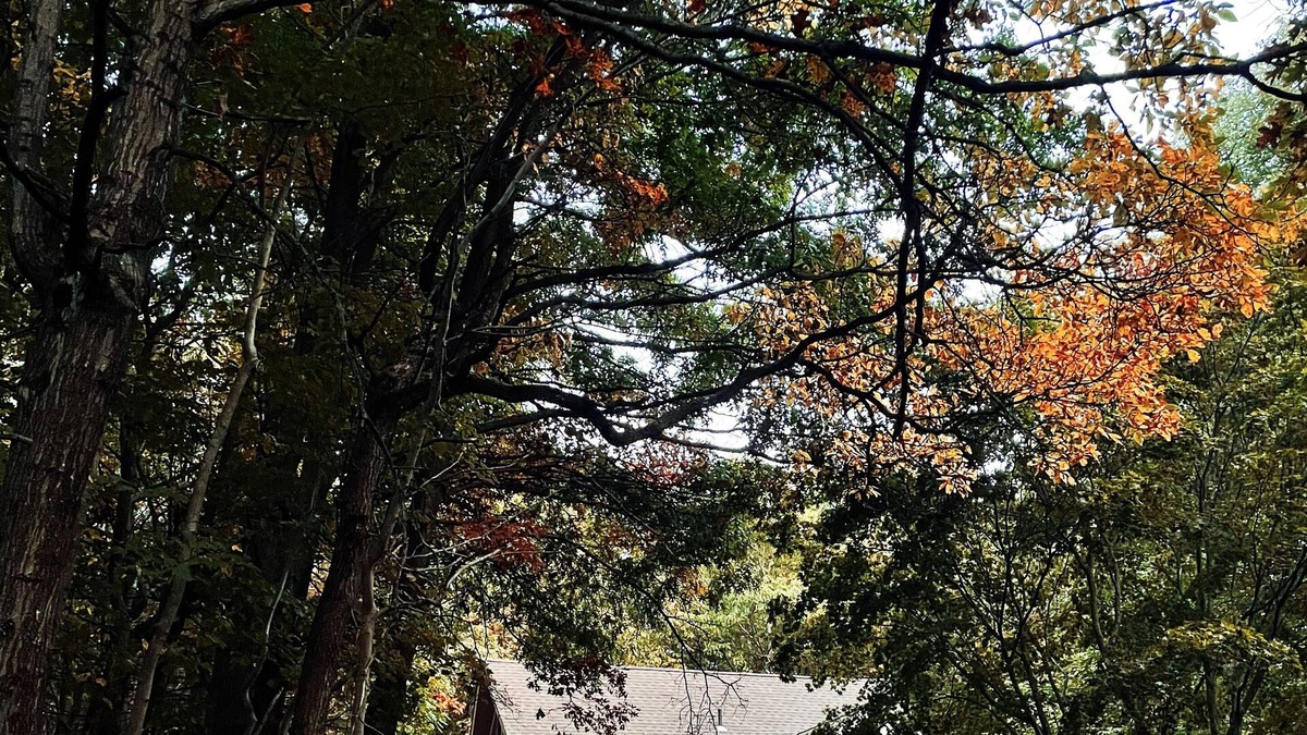 Albrightsville Cabin | Donan House - Escape To The Mountains!