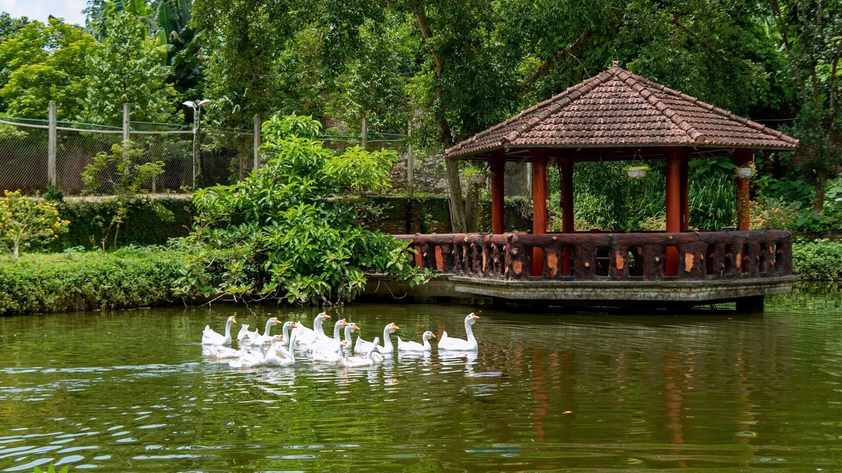 Luong Son Hotel | Dong Goi Eco Retreat