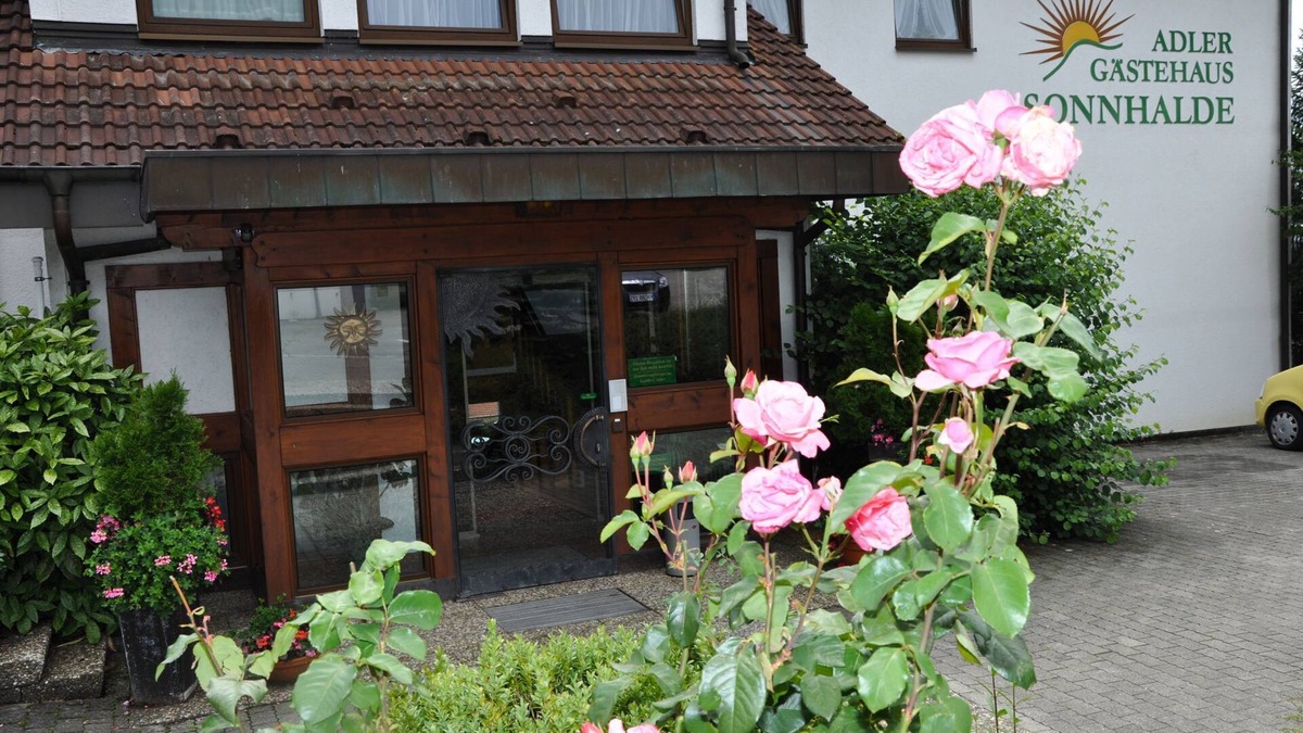 Radolfzell am Bodensee Apartment | Doppelzimmer Standard mit eigenem Bad oder Dusche und WC