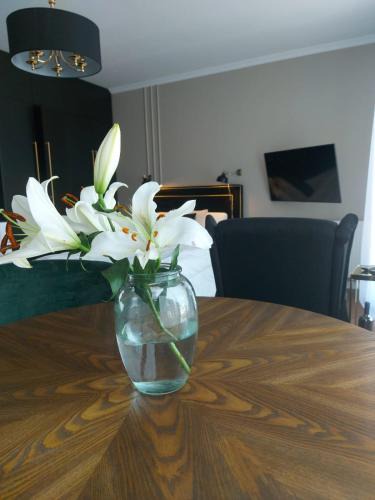 Stare Podgorze Apartment | Doris Day Apartment