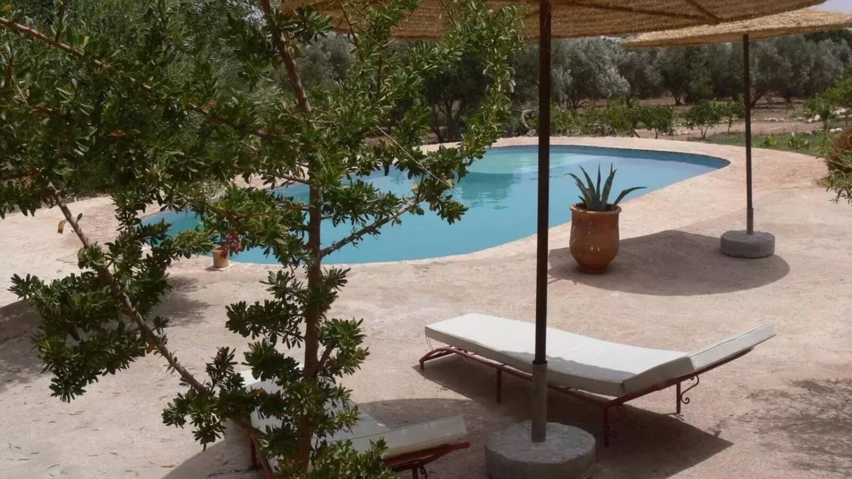 Ounagha House | Douar des Oliviers