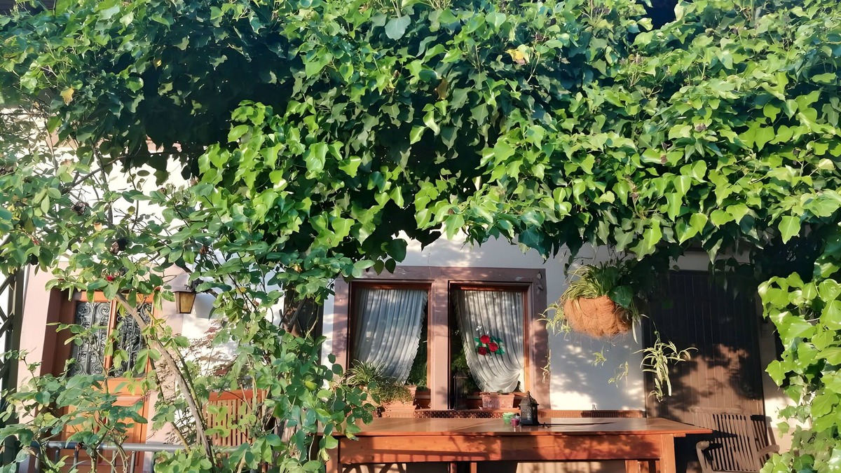Schuttertal House | Double Room Apple Blossom