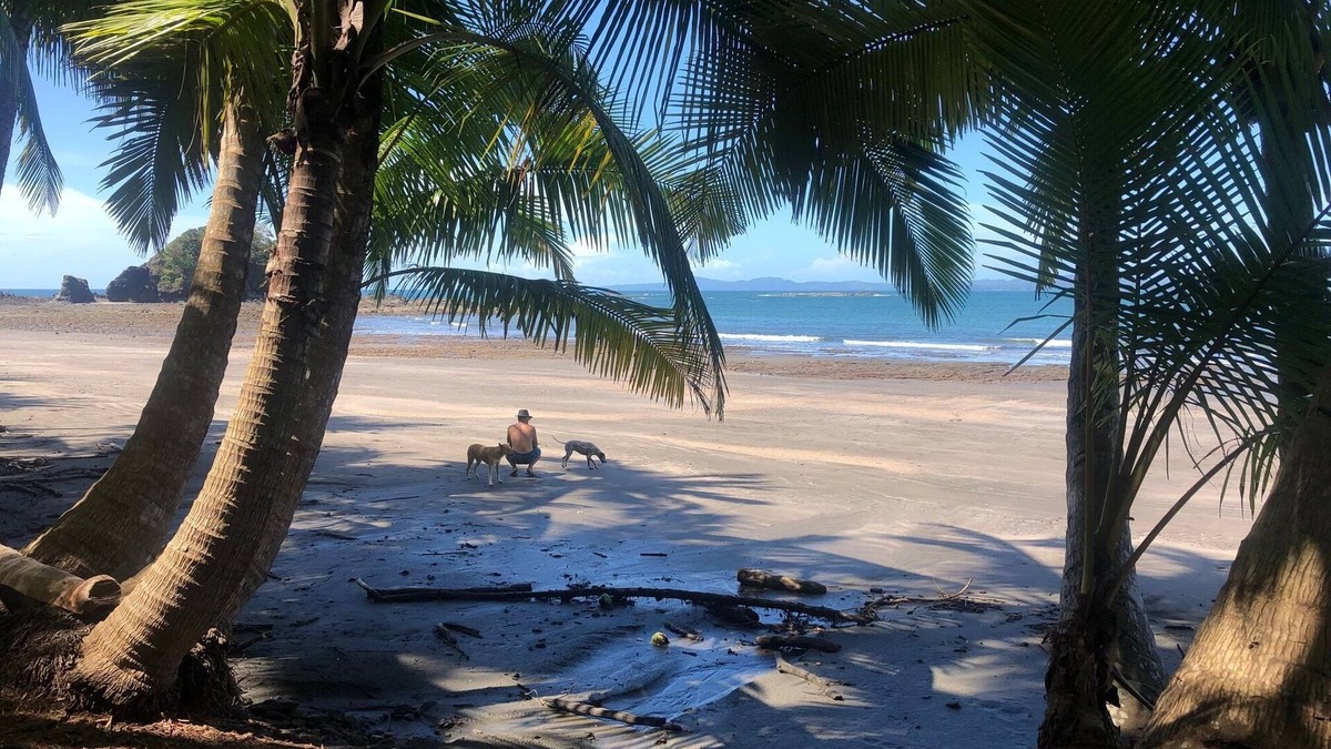 Torio House | Double room with partial ocean view balcony | Beachfront Boutique Hotel & Pool