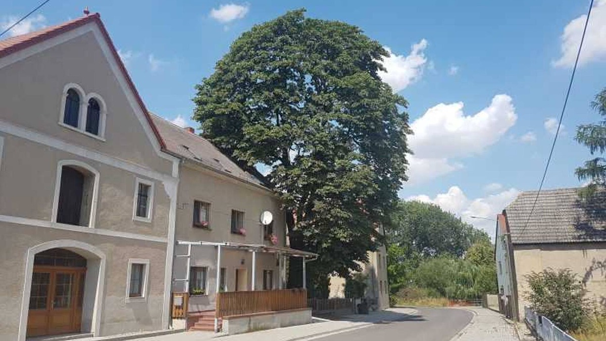 Fichtenberg Cottage | Double room Zum Fuchs online - *Pension HofGut Streubel