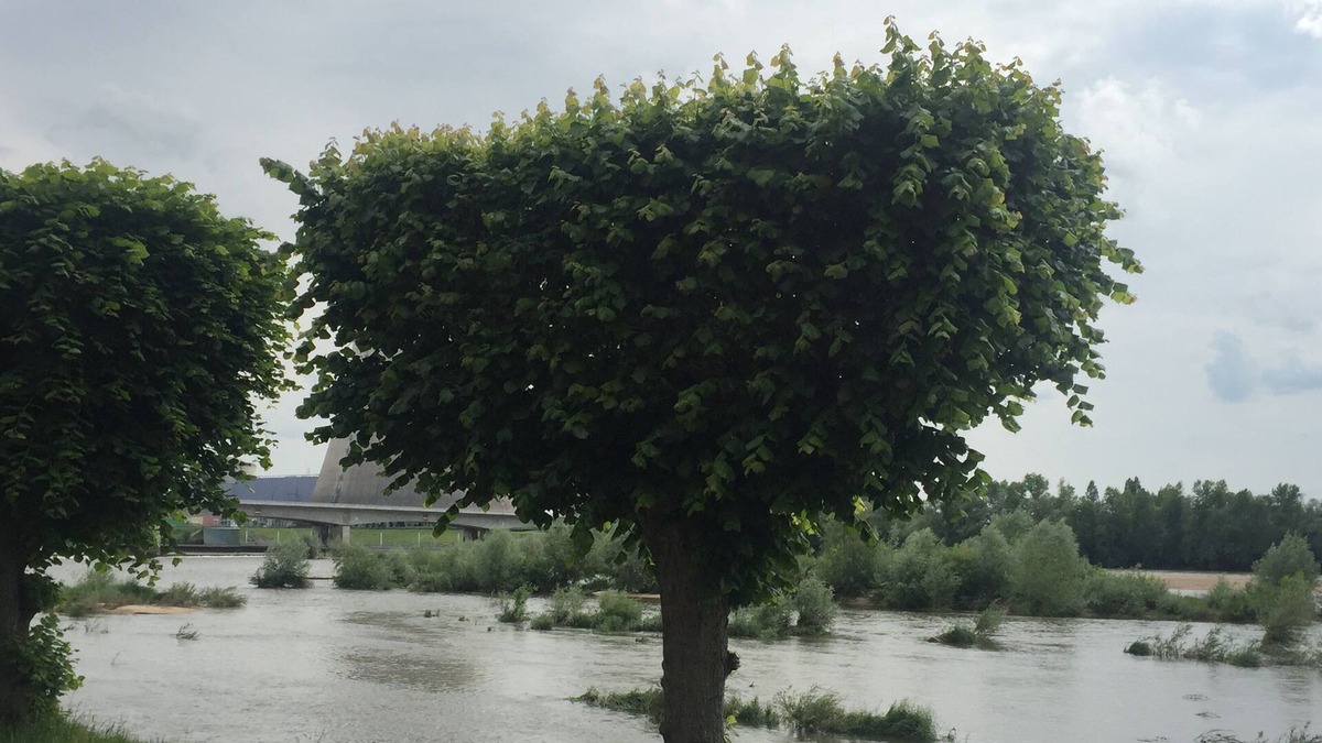 Neuvy-sur-Loire House | Double studio, near the Belleville power station on the banks of the Loire.