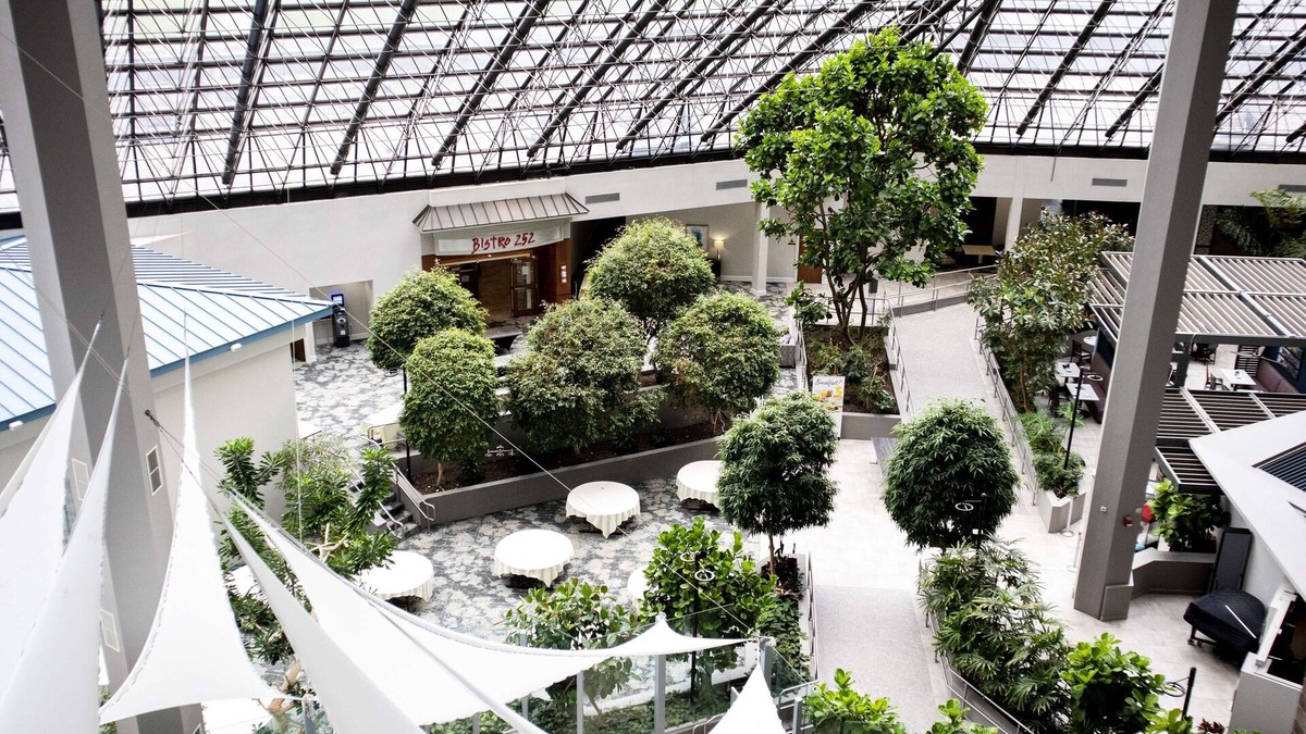 Rochester Hotel | DoubleTree by Hilton Rochester
