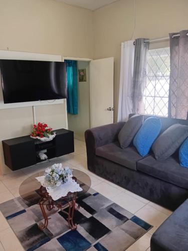 Portmore Apartment | DOUG MANOR flat1