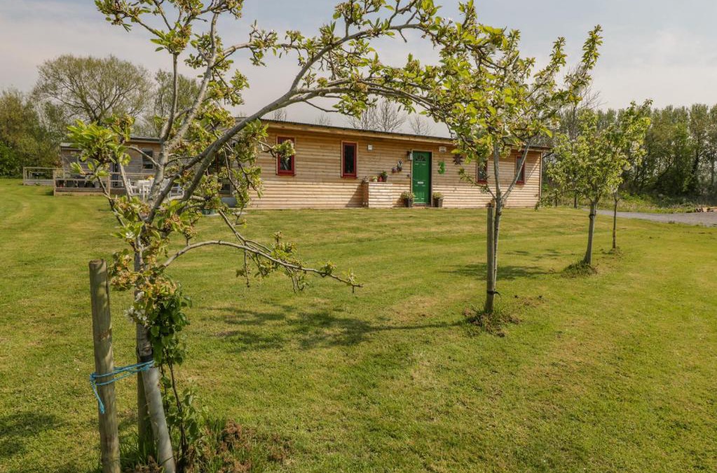 Congresbury House | Down the Rabbit Hole