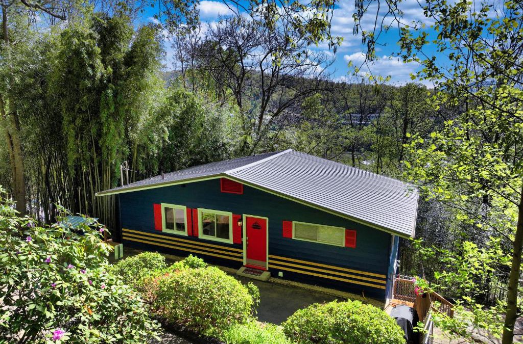 Kenilworth Ski Chalet | Downtown Asheville - Zurich Swiss Mountain Chalet
